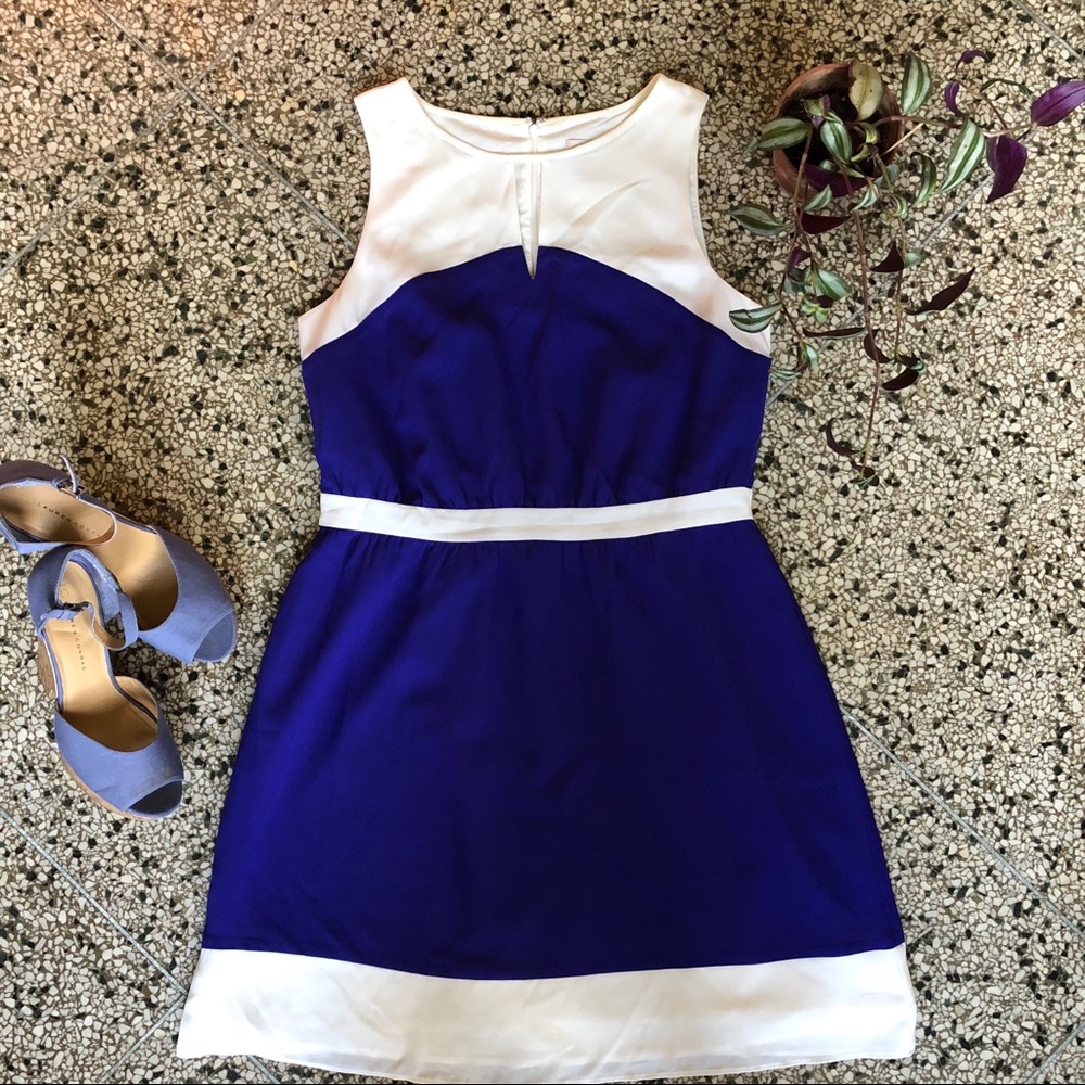 LOFT Sleeveless Color-Block A Line Dress
